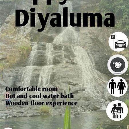 Bed and Breakfast Happy Feet Diyaluma Koslanda Zewnętrze zdjęcie