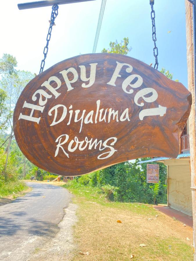 Bed and Breakfast Happy Feet Diyaluma Koslanda Zewnętrze zdjęcie